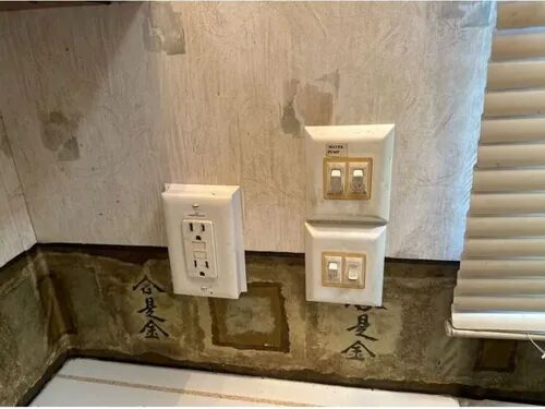 Gallery image 234